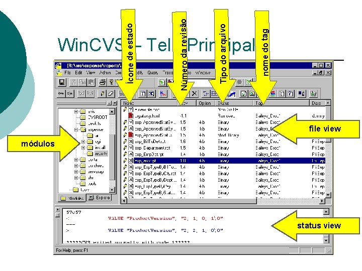nome do tag Tipo do arquivo Número da revisão Ícone de estado Win. CVS