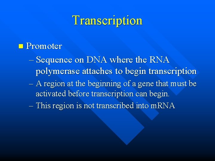 Transcription n Promoter – Sequence on DNA where the RNA polymerase attaches to begin