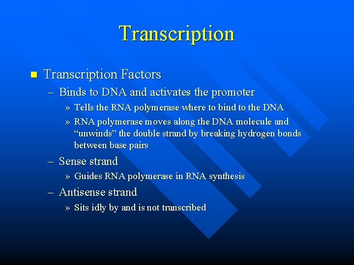 Transcription n Transcription Factors – Binds to DNA and activates the promoter » Tells