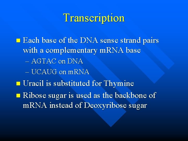 Transcription n Each base of the DNA sense strand pairs with a complementary m.