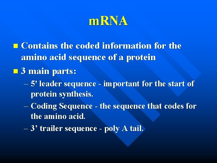 m. RNA Contains the coded information for the amino acid sequence of a protein