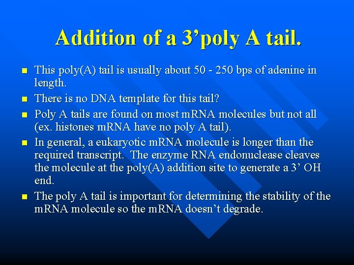 Addition of a 3’poly A tail. n n n This poly(A) tail is usually