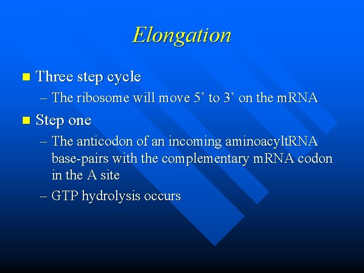 Elongation n Three step cycle – The ribosome will move 5’ to 3’ on