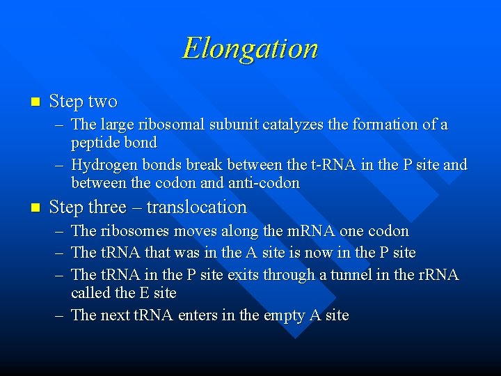 Elongation n Step two – The large ribosomal subunit catalyzes the formation of a