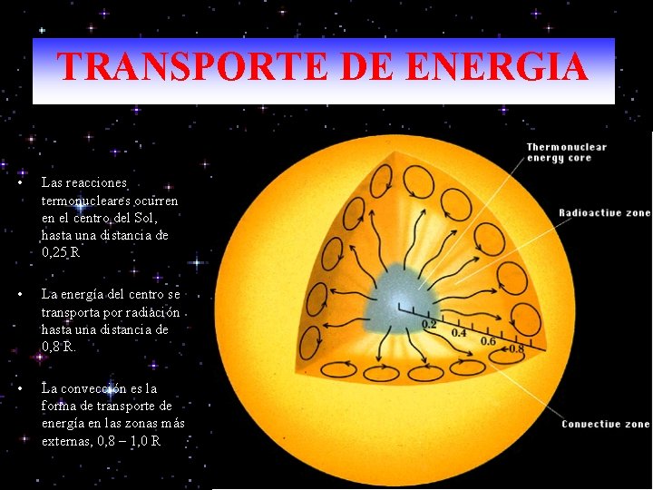 TRANSPORTE DE ENERGIA • Las reacciones termonucleares ocurren en el centro del Sol, hasta