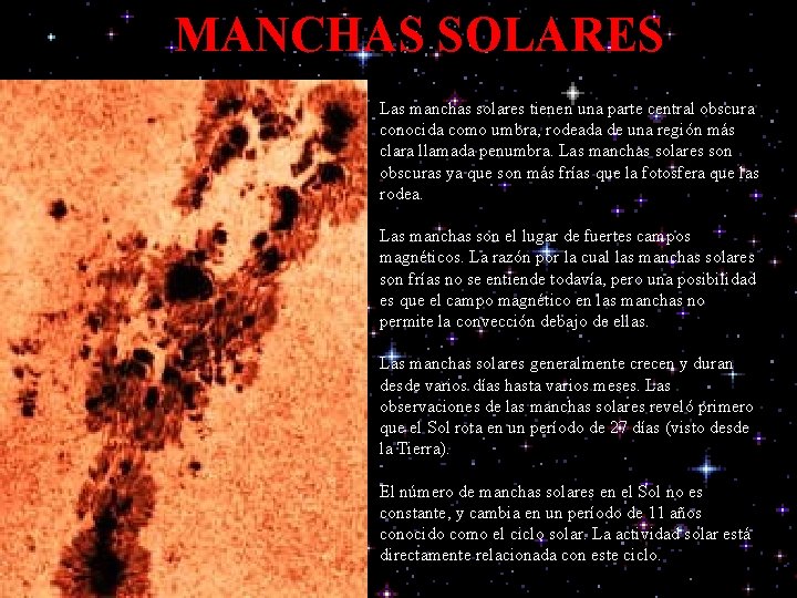 MANCHAS SOLARES Las manchas solares tienen una parte central obscura conocida como umbra, rodeada