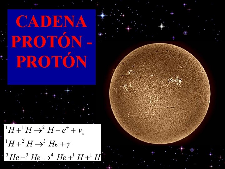 CADENA PROTÓN 
