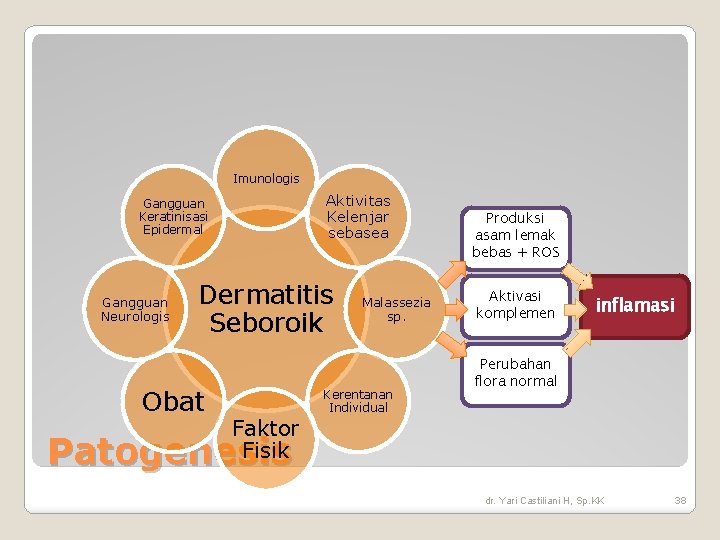Imunologis Aktivitas Kelenjar sebasea Gangguan Keratinisasi Epidermal Gangguan Neurologis Dermatitis Seboroik Obat Malassezia sp. Imunologis Aktivitas Kelenjar sebasea Gangguan Keratinisasi Epidermal Gangguan Neurologis Dermatitis Seboroik Obat Malassezia sp.