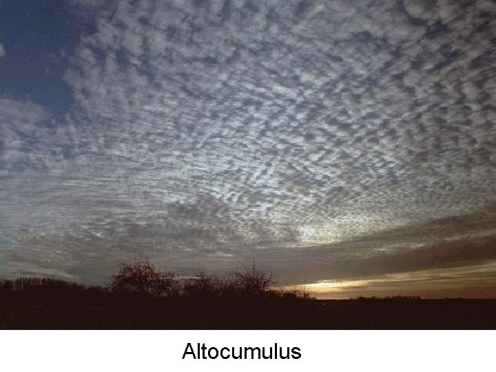 Altocumulus 