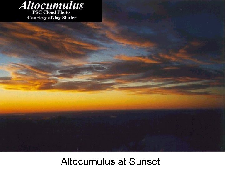 Altocumulus at Sunset 