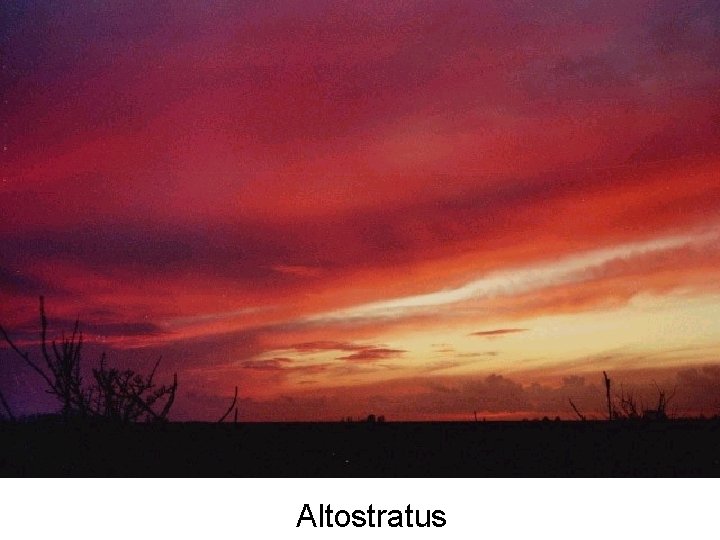 Altostratus 