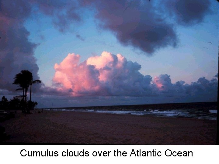 Cumulus clouds over the Atlantic Ocean 