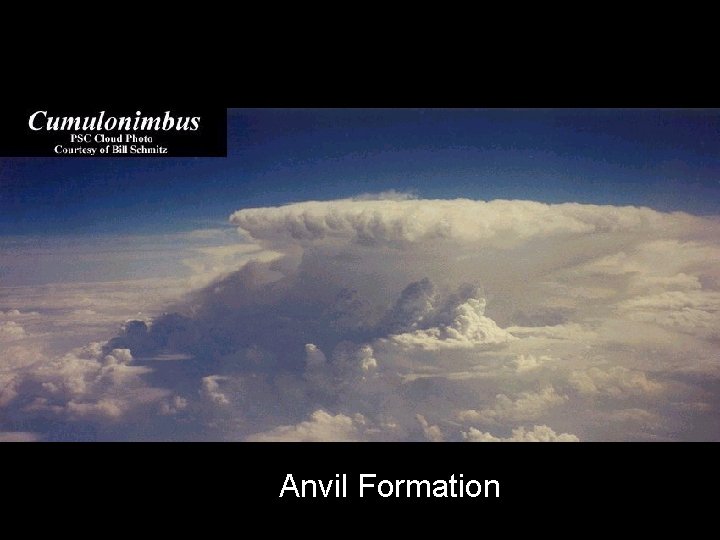 Anvil Formation 