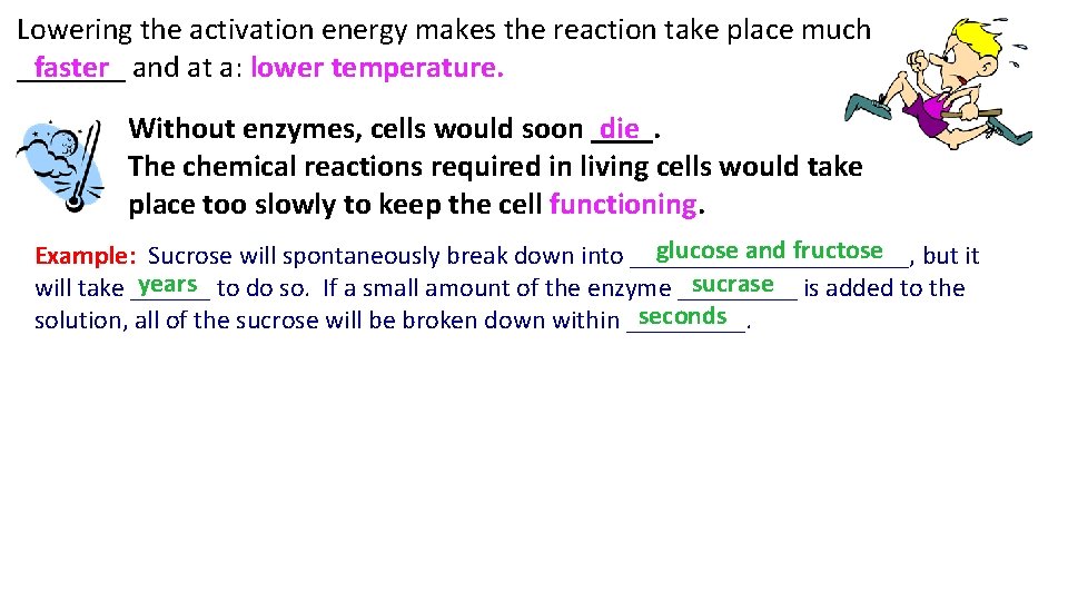 Lowering the activation energy makes the reaction take place much _______ faster and at