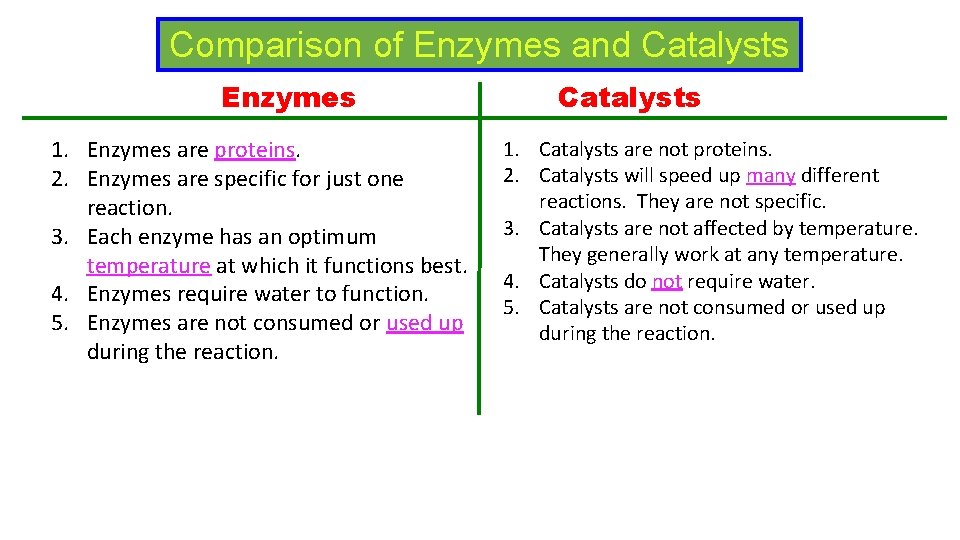 Comparison of Enzymes and Catalysts Enzymes 1. Enzymes are proteins. 2. Enzymes are specific