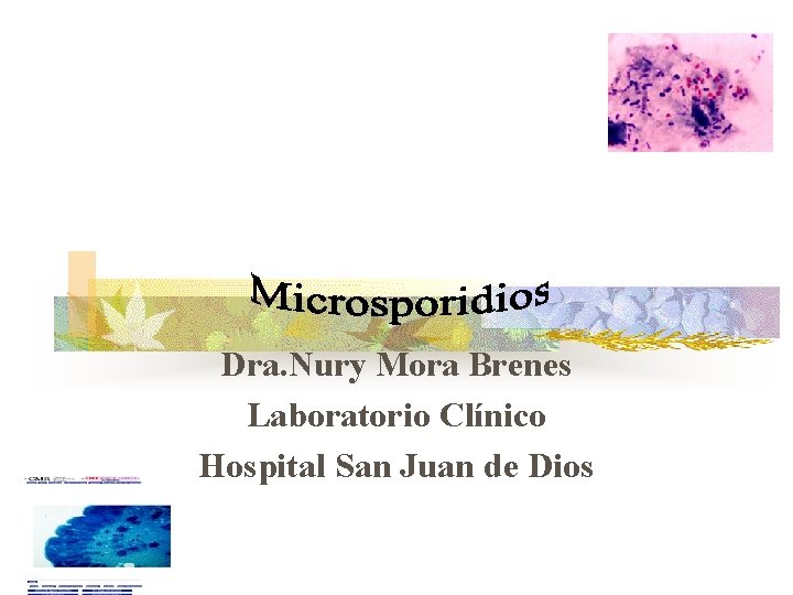 Dra. Nury Mora Brenes Laboratorio Clínico Hospital San Juan de Dios 