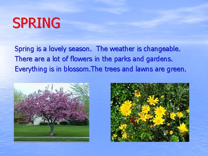 SPRING Spring is a lovely season. The weather is changeable. There a lot of