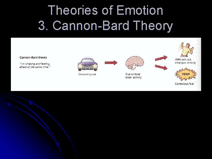 Theories of Emotion 3. Cannon-Bard Theory 