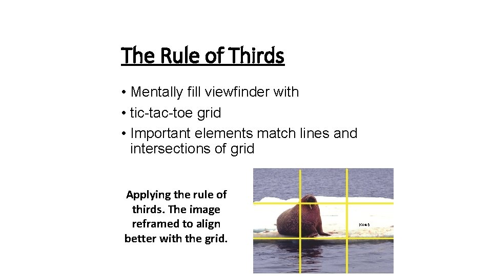 The Rule of Thirds • Mentally fill viewfinder with • tic-tac-toe grid • Important