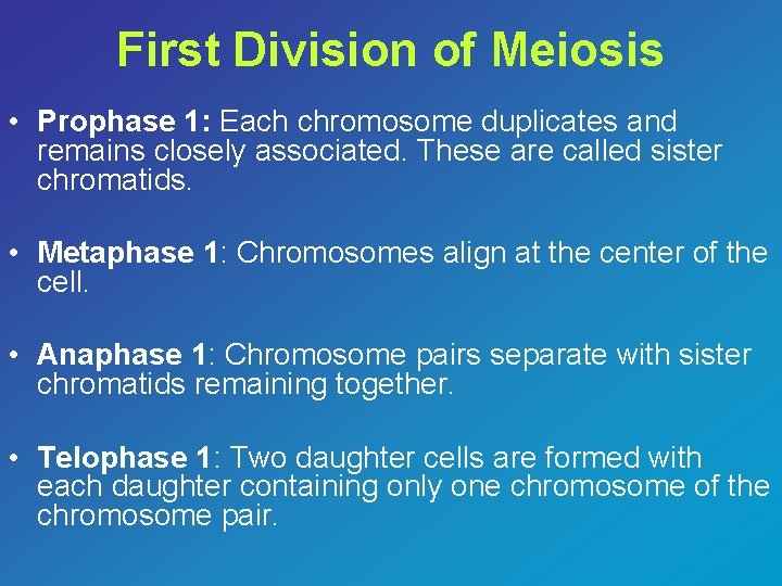 First Division of Meiosis • Prophase 1: Each chromosome duplicates and remains closely associated.