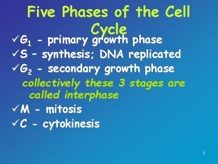 Five Phases of the Cell Cycle üG 1 - primary growth phase üS –