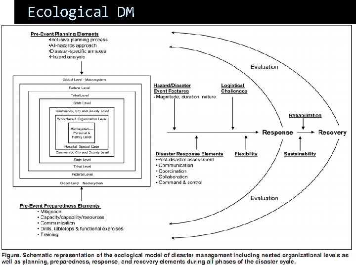 Ecological DM 