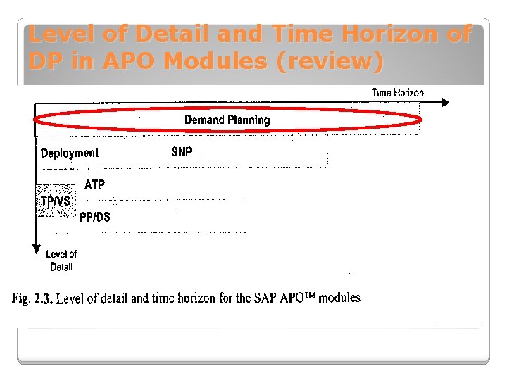 Level of Detail and Time Horizon of DP in APO Modules (review) 