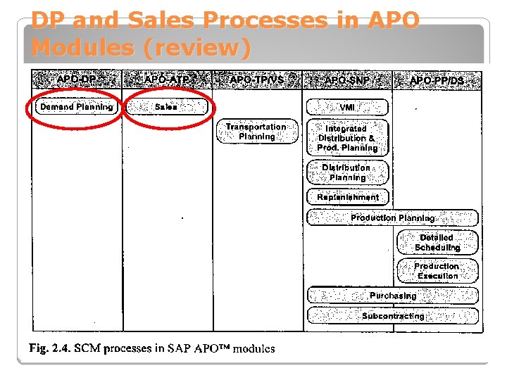 DP and Sales Processes in APO Modules (review) 