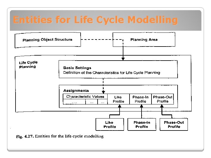 Entities for Life Cycle Modelling 