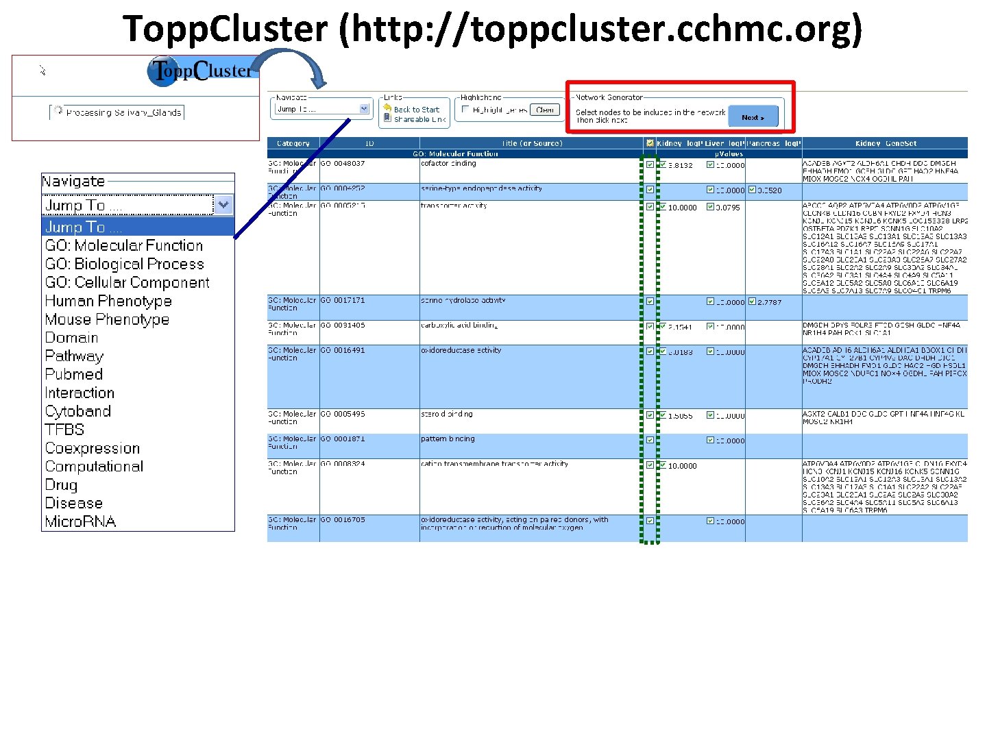 Topp. Cluster (http: //toppcluster. cchmc. org) 