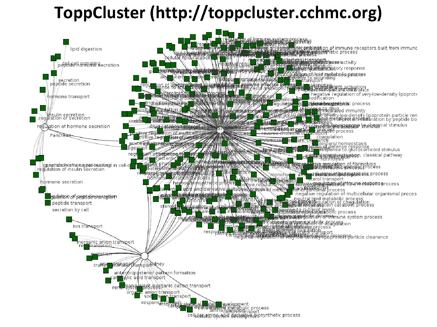 Topp. Cluster (http: //toppcluster. cchmc. org) 