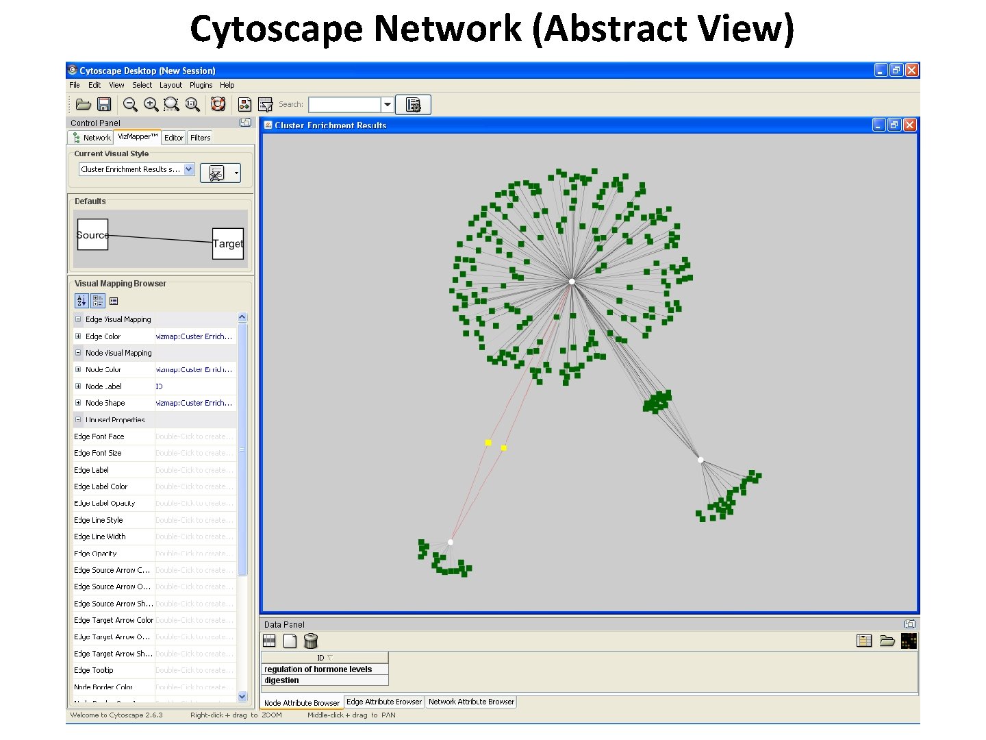 Cytoscape Network (Abstract View) 