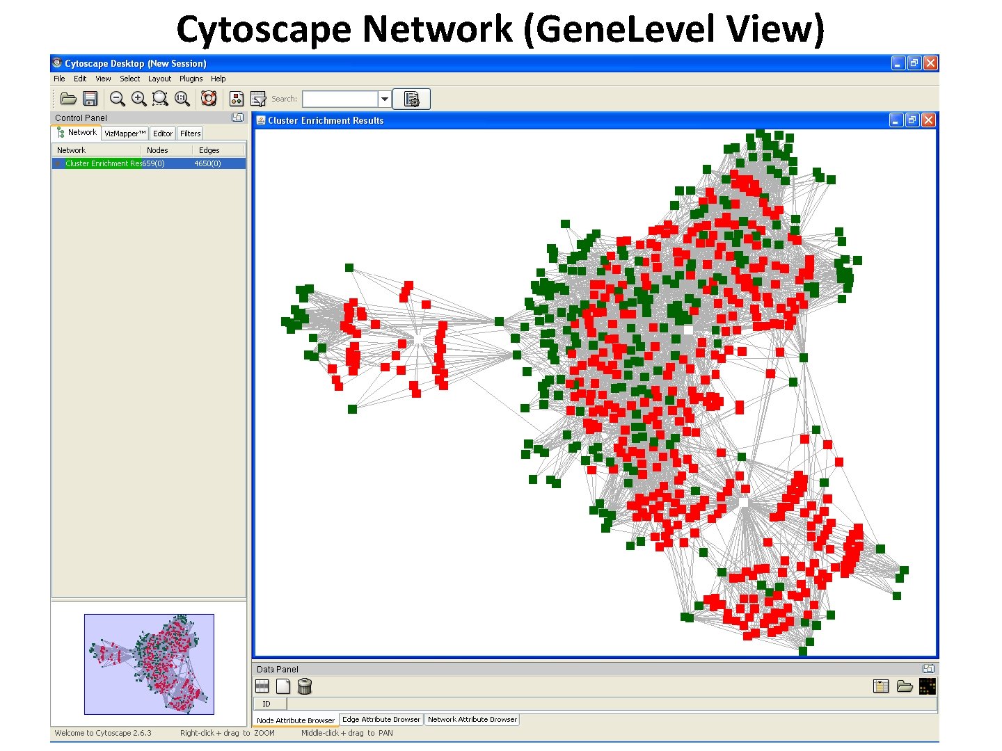 Cytoscape Network (Gene. Level View) 