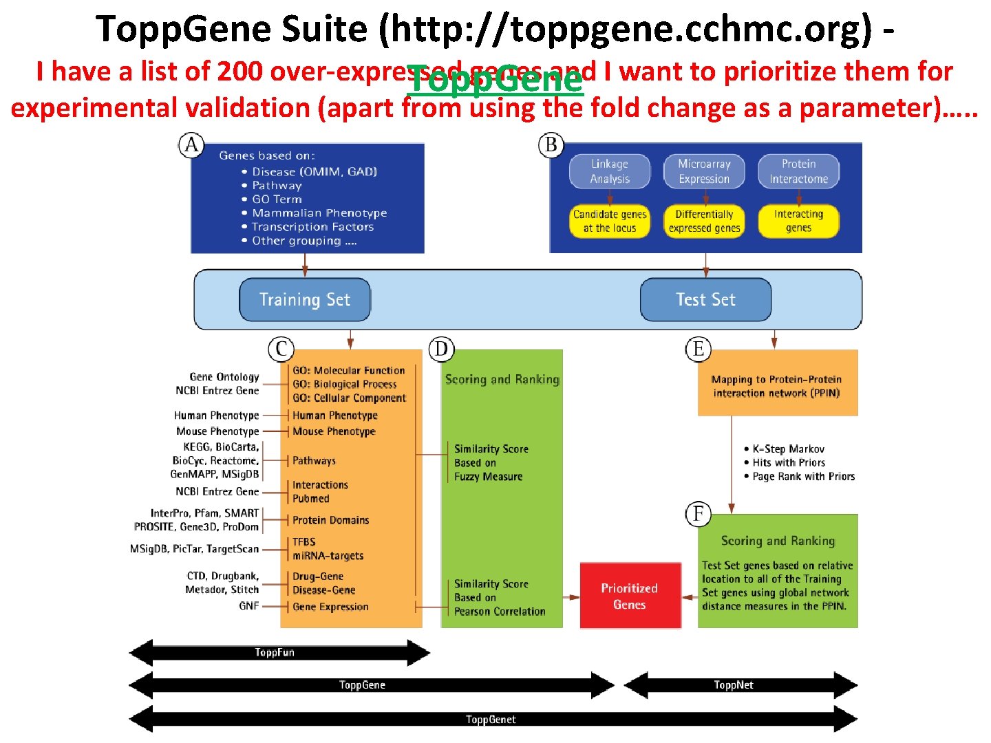 Topp. Gene Suite (http: //toppgene. cchmc. org) I have a list of 200 over-expressed