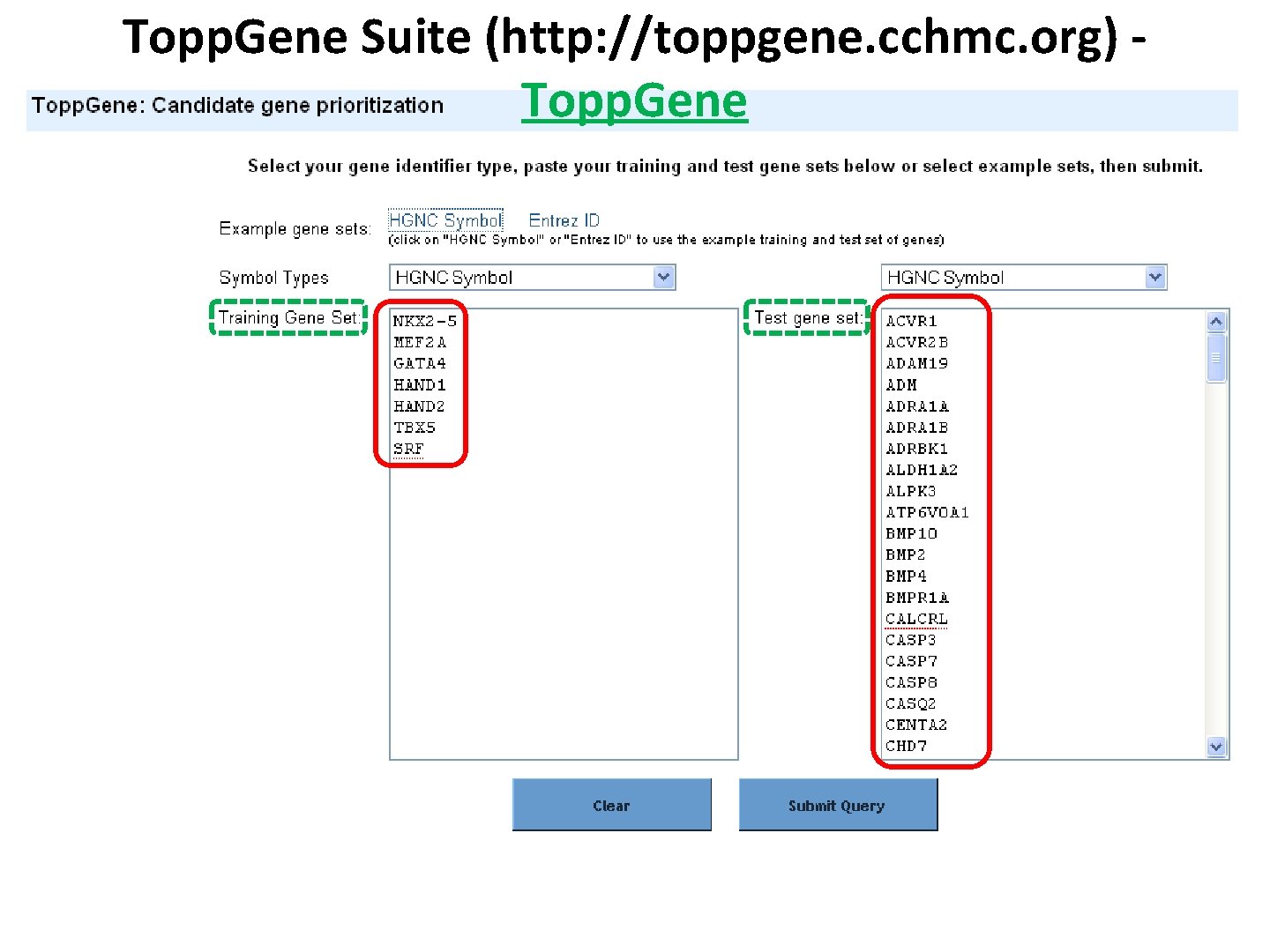 Topp. Gene Suite (http: //toppgene. cchmc. org) Topp. Gene 