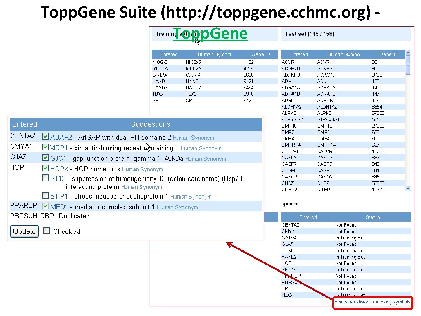 Topp. Gene Suite (http: //toppgene. cchmc. org) Topp. Gene 