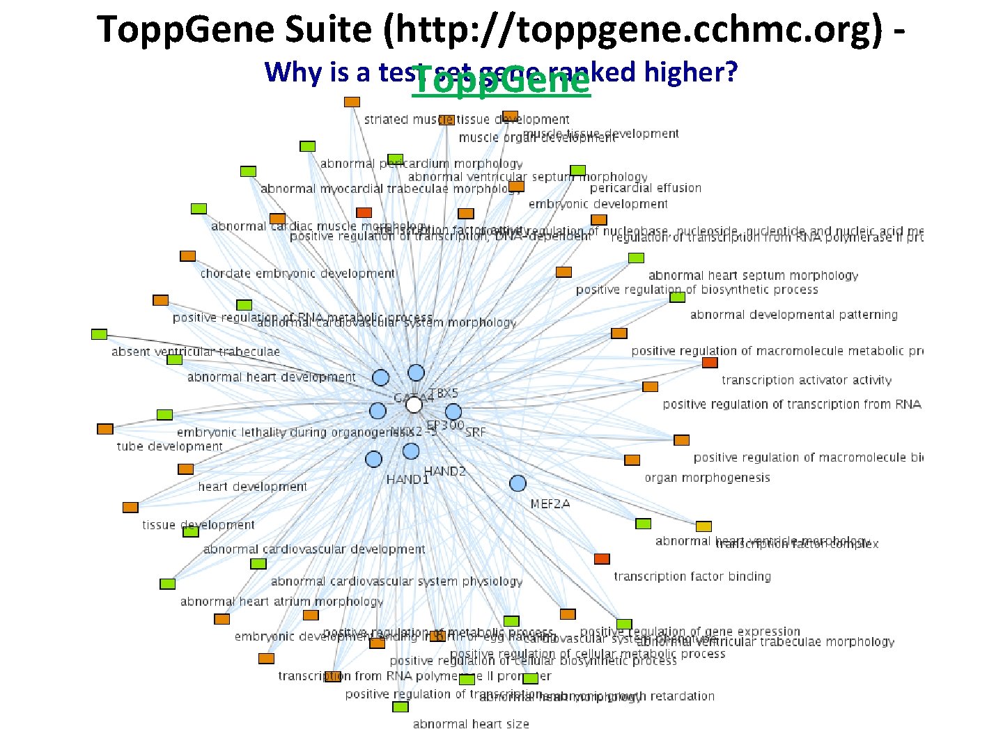 Topp. Gene Suite (http: //toppgene. cchmc. org) Why is a test. Topp. Gene set