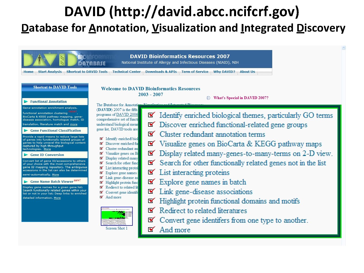 DAVID (http: //david. abcc. ncifcrf. gov) Database for Annotation, Visualization and Integrated Discovery 