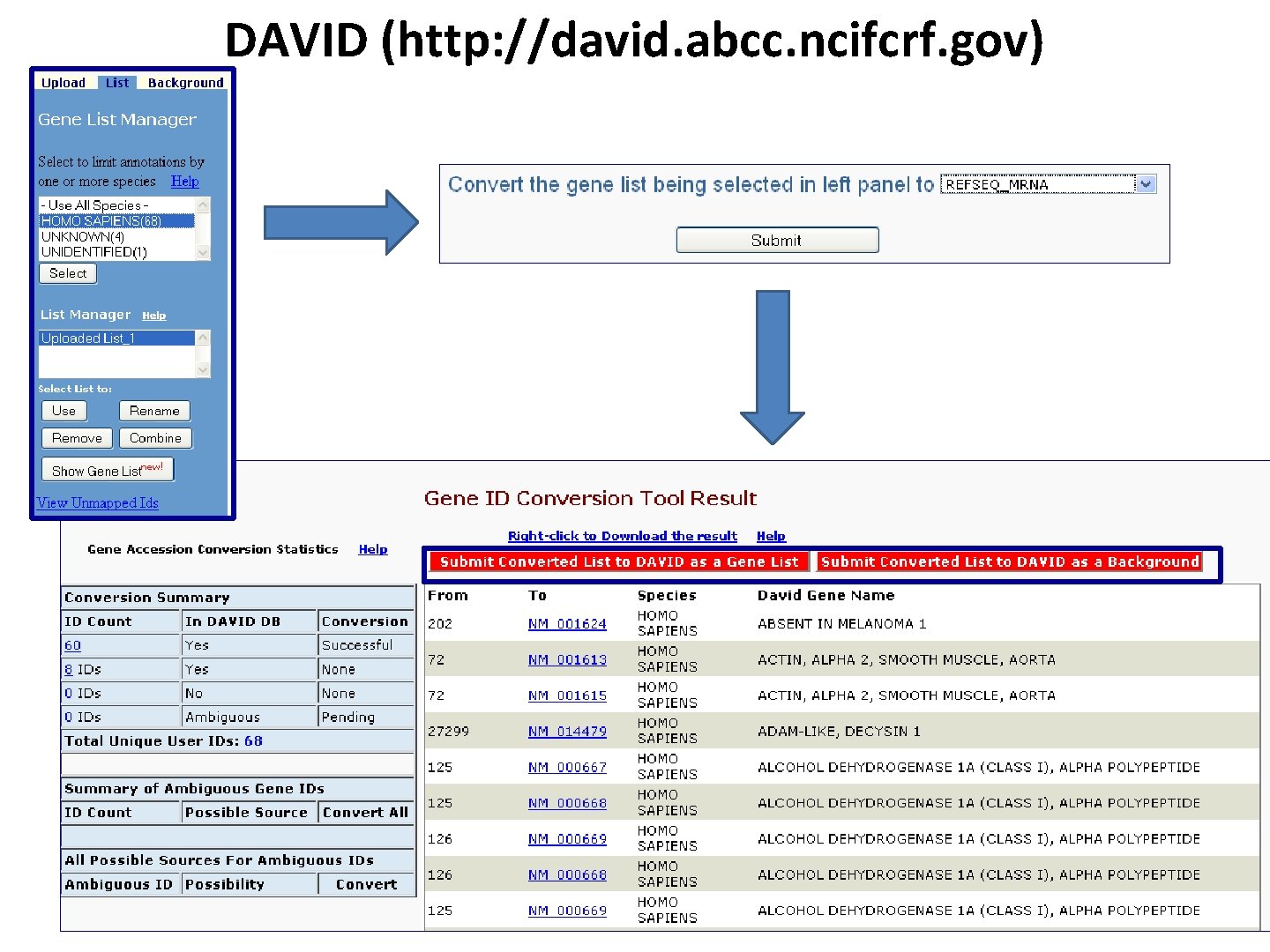 DAVID (http: //david. abcc. ncifcrf. gov) 