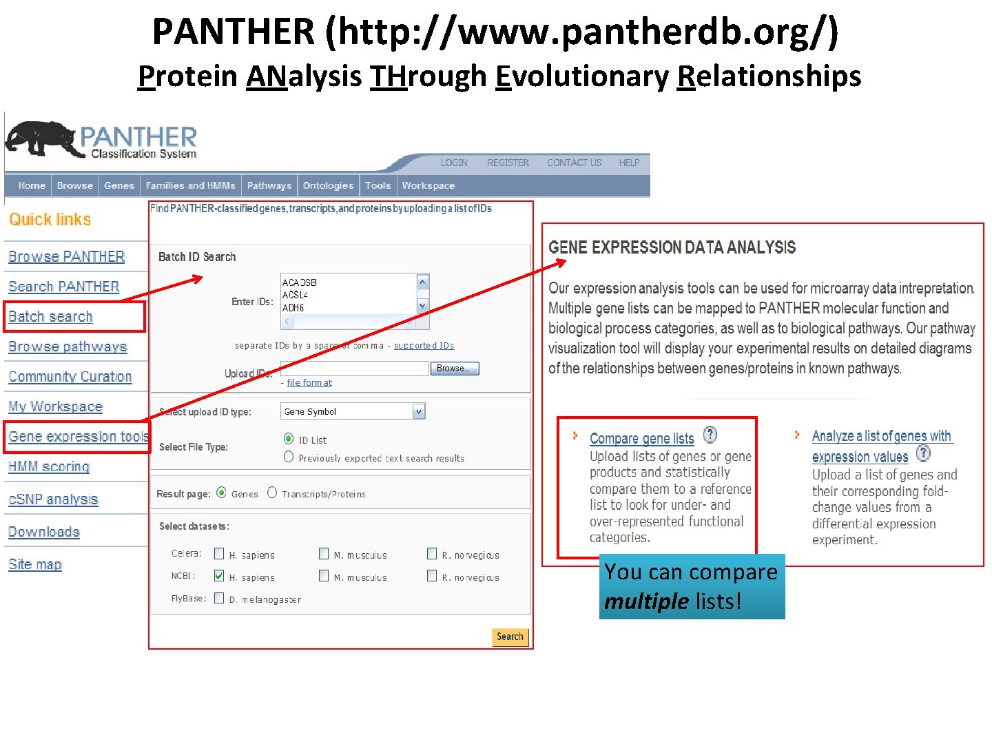 PANTHER (http: //www. pantherdb. org/) Protein ANalysis THrough Evolutionary Relationships You can compare multiple