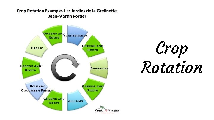 SUSTAINABLE AGRICULTURAL PRACTICES Soil HealthManagement Crop Rotation ...