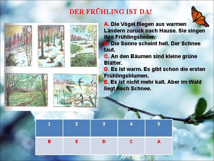 DER FRÜHLING IST DA! A. Die Vögel fliegen aus warmen Ländern zurück nach Hause.