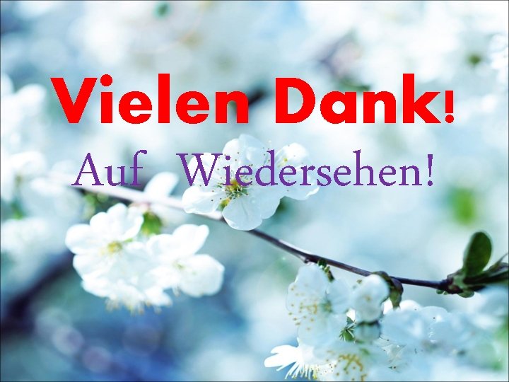 Vielen Dank! Auf Wiedersehen! 