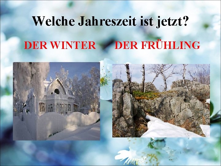 Welche Jahreszeit ist jetzt? DER WINTER DER FRÜHLING 