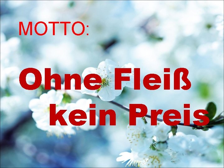 MOTTO: Ohne Fleiß kein Preis 