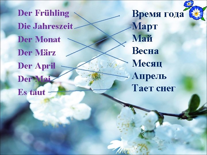Der Frühling Die Jahreszeit Der Monat Der März Der April Der Mai Es taut