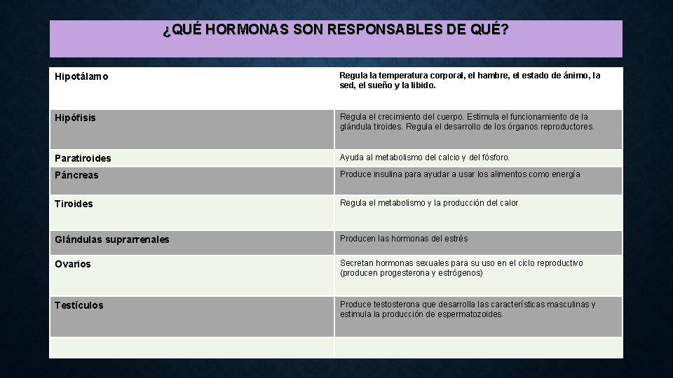 ¿QUÉ HORMONAS SON RESPONSABLES DE QUÉ? Hipotálamo Regula la temperatura corporal, el hambre, el