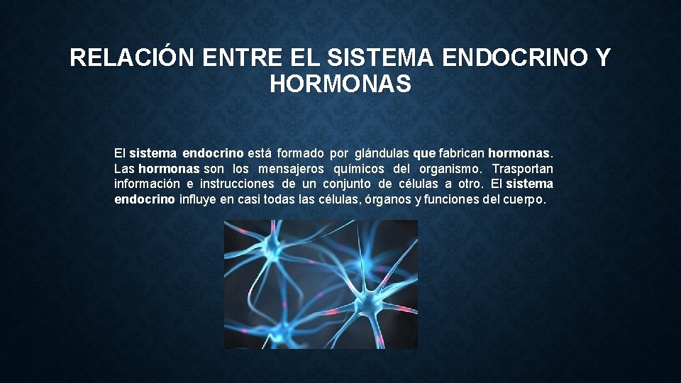 RELACIÓN ENTRE EL SISTEMA ENDOCRINO Y HORMONAS El sistema endocrino está formado por glándulas