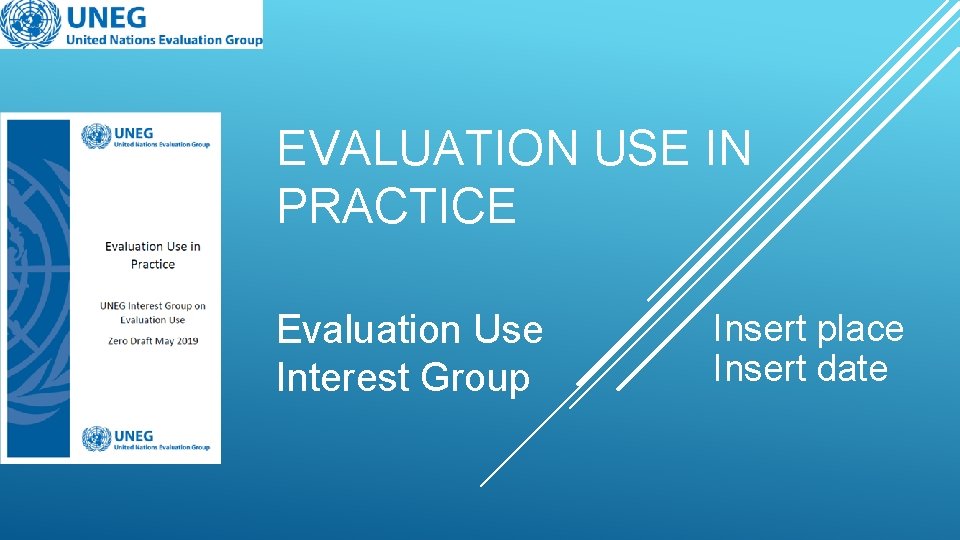 EVALUATION USE IN PRACTICE Evaluation Use Interest Group Insert place Insert date 
