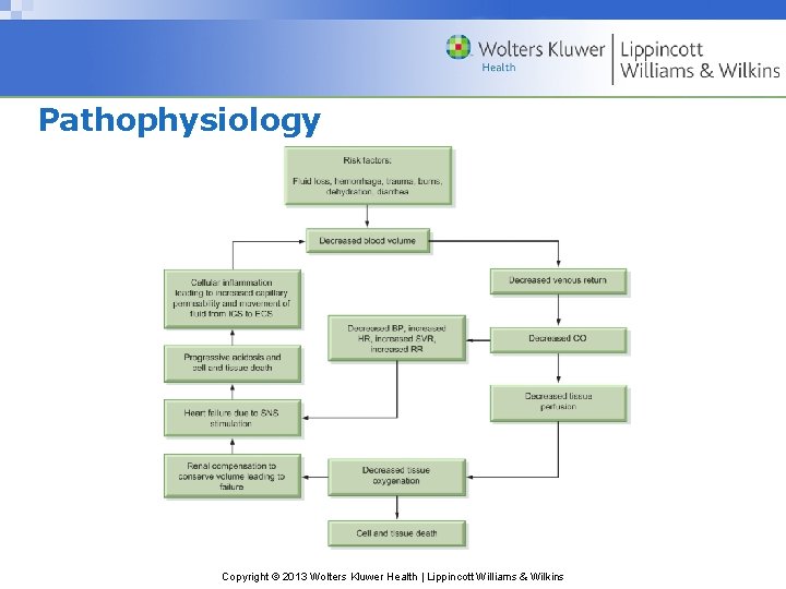 Pathophysiology Copyright © 2013 Wolters Kluwer Health | Lippincott Williams & Wilkins 